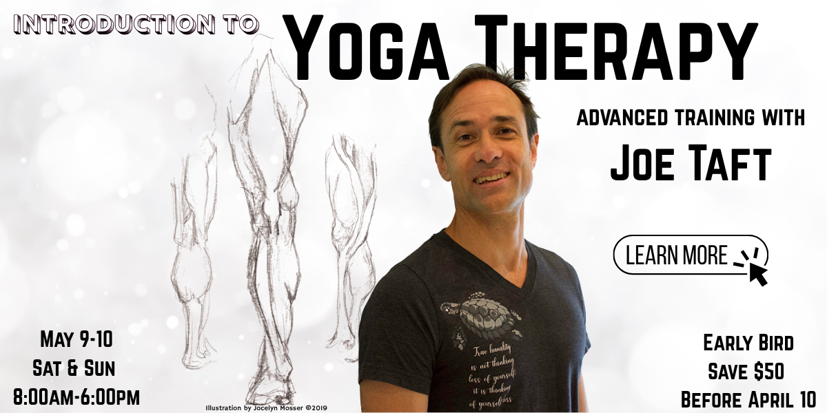 Intro To Yoga Therapy
